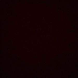 Meet your Posher, Bailey